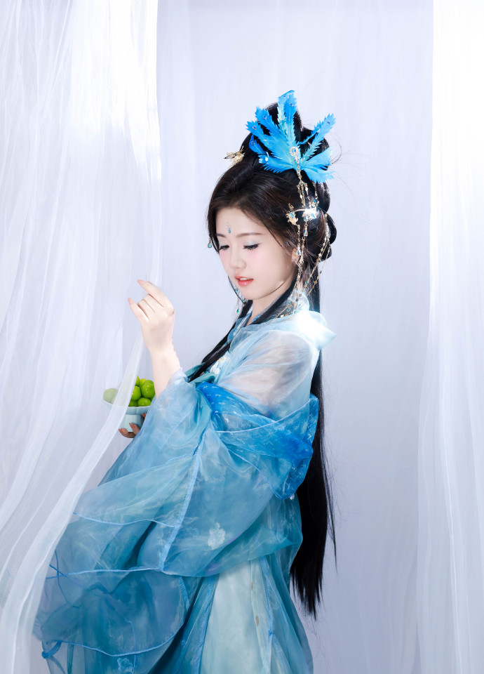 绿皮书